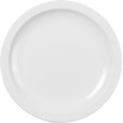 Teller &Oslash;24 cm