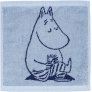 Mumin/Navy