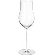 Champagnerglas 6er Set, 25 cl
