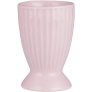 Englische Rose