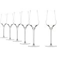 Cocoon Champagnerglas 6er Set 34 cl