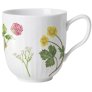 Wild Flowers