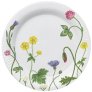 Wild Flowers
