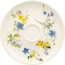 Fleur des Alpes