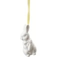 Hase