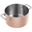 Pot 3,5 L/20 cm