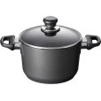 Induction Topf mit Deckel 3,2 L/20 cm