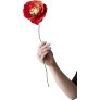 transparentes Rot