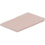 Stone Coral