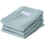 Dusty Mint