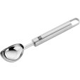 Eisportionierer 21 cm