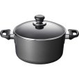 Induction Topf mit Deckel 4,8 L/24 cm