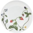 Teller 22 cm, Sommerbeere