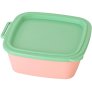 Sweet Pink/Mid Green